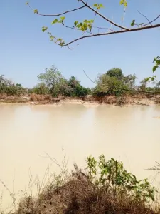 Stavební pozemek Na prodej 0000 Brikama Gambia  DE