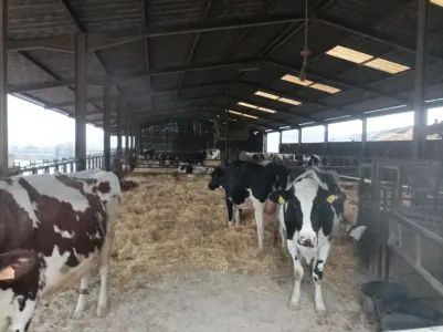 Farma Na prodej 54000 GRAFIGNY FR